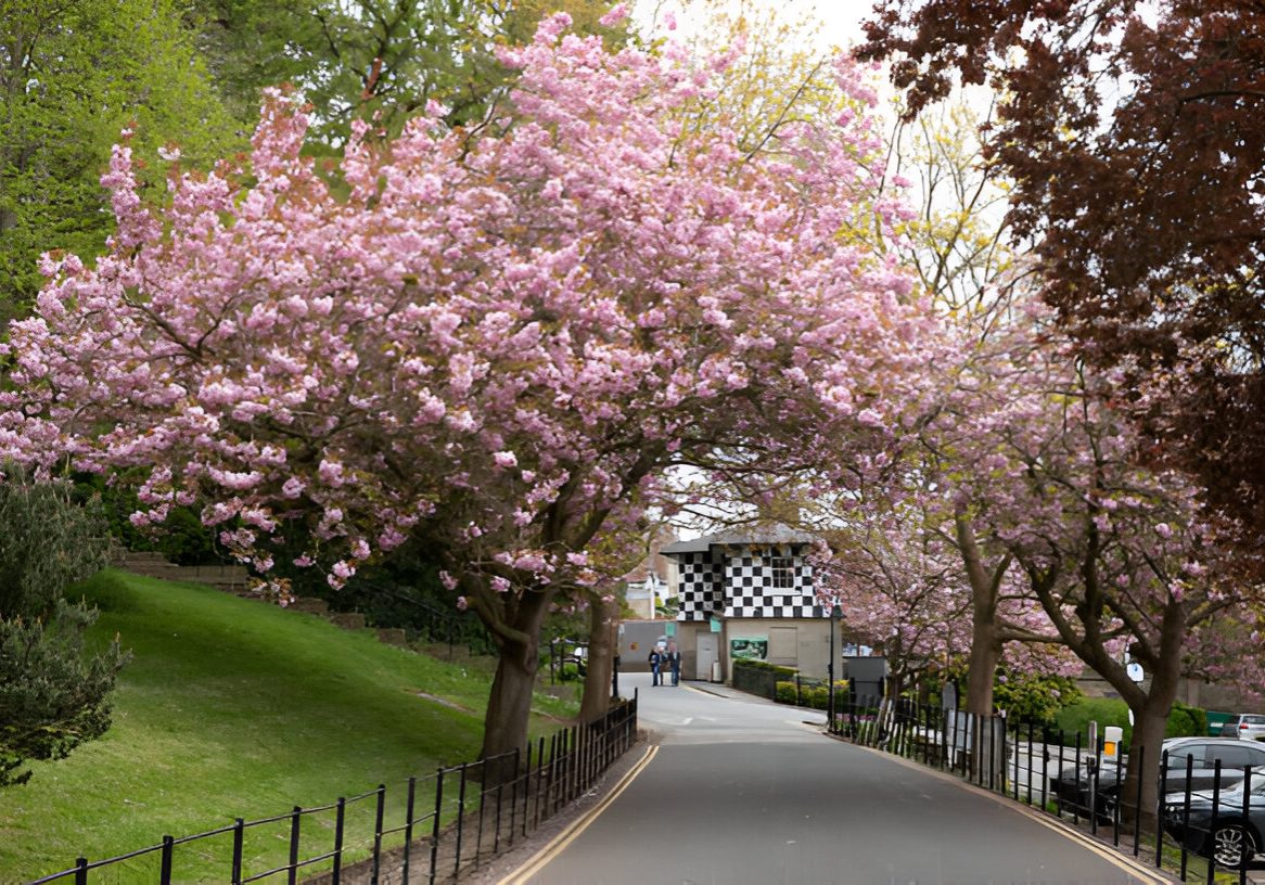 knaresborough-in-north-yorkshire knaresborough-in-north-yorkshire